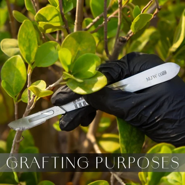 Crafting Scalpel Handle No 4 Surgical Instruments