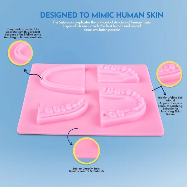MJW Dental Suture Practice Silicone Pad for Students